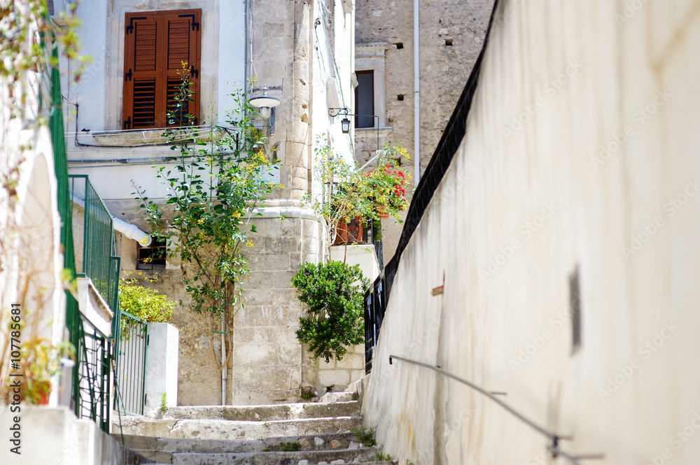 Naklejka premium Typical medieval narrow street in beautiful town of Peschici