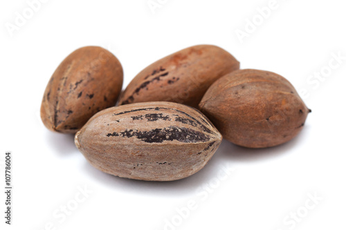 Nuts pecans in shell closeup isolated on white background
