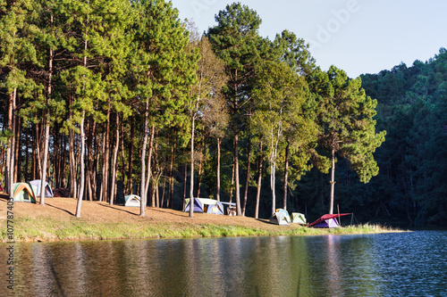 Quadro em tela Dome tents near lake and pine trees in camping site at Pang Ung