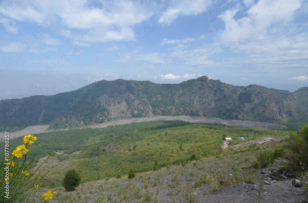 Obraz premium Mount Vesuvius