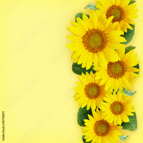 Fototapeta Naklejka Na Ścianę i Meble -  Sunflowers arrangement
