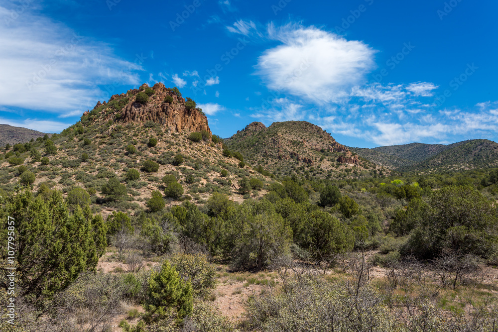 Fossil springs creek in Arizona