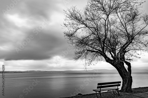 Bench looks the Lake