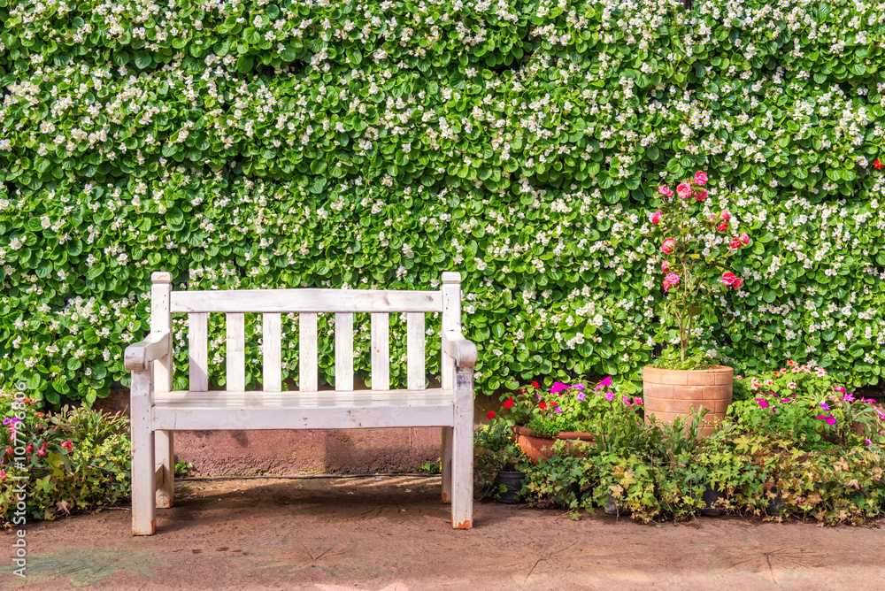White bench with the bush and whithe flower Background