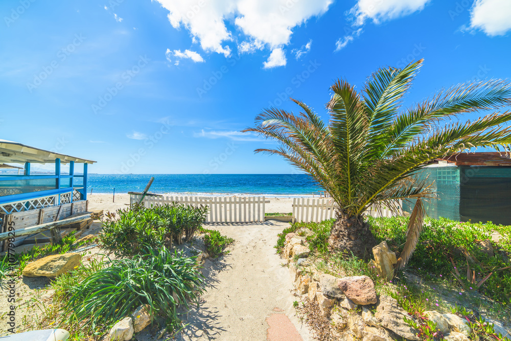 Fototapeta premium beach bar with palms