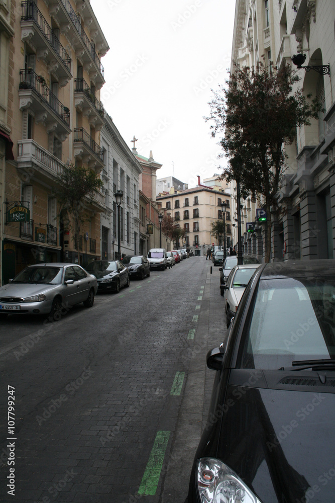 Calle de Cervantes_ Madrid