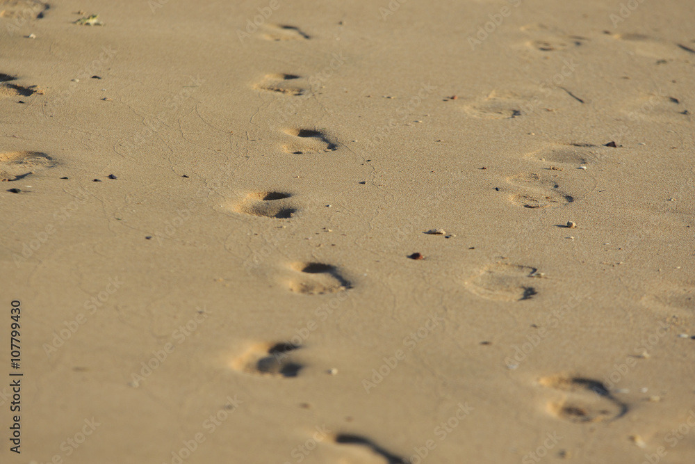 Sandy beach with footprints at the morning Sandy beach with footprints at the morning
