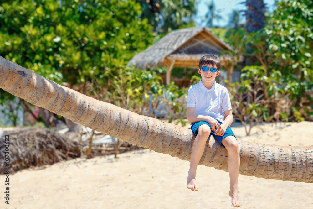 Cute little boy at tropical beach sitting on palm tree