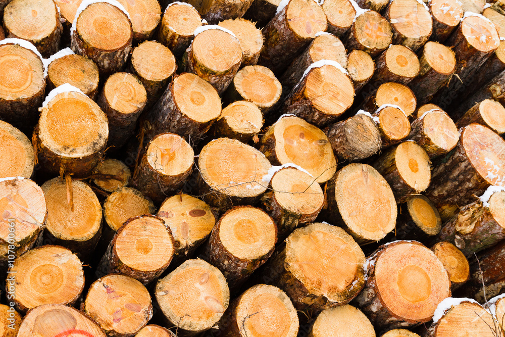 Snow covered fresh cut firewood stack at winter.