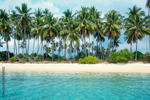 Tropical beach and coconut palms in Koh Samui  Thailand
