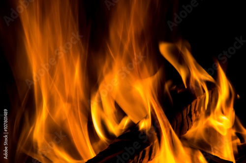 wood burning in a fire isolated on black background