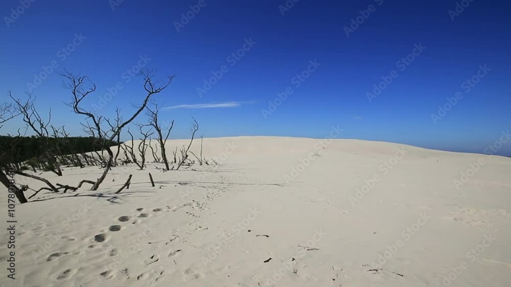 Slowinski National Park in Poland - mowing dunes