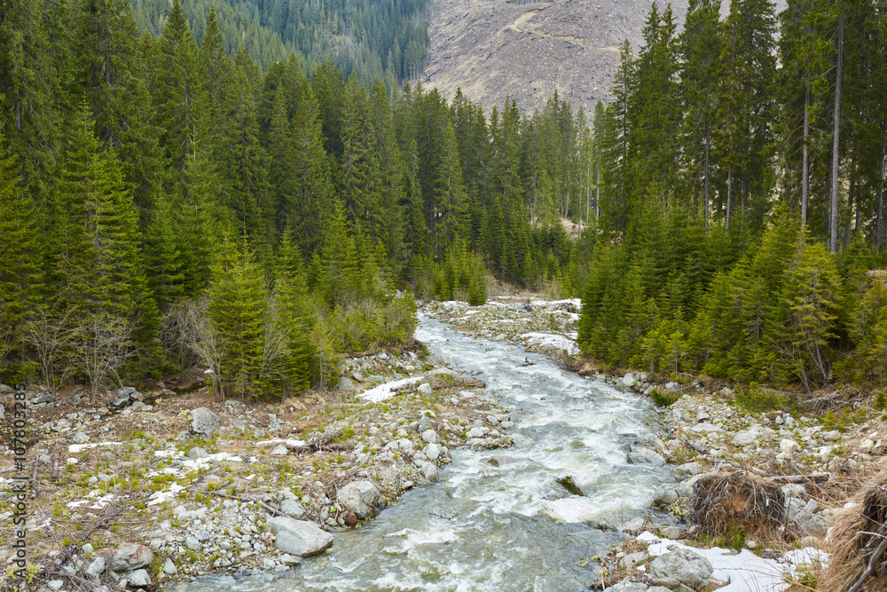 Fototapeta premium River in the mountains