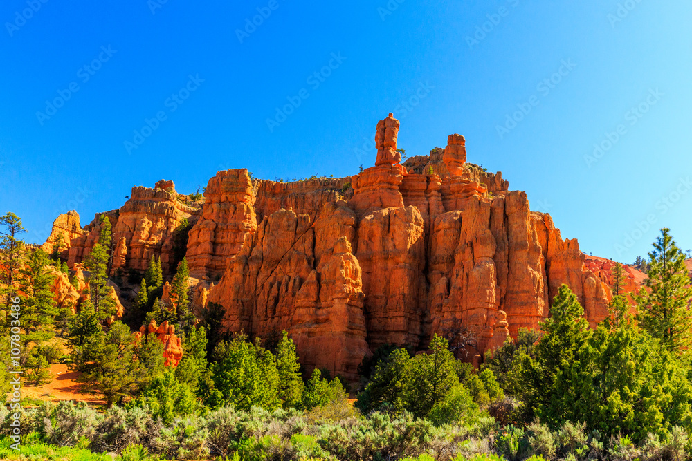 Hoodoos in Red Canyon in Utah, USA.