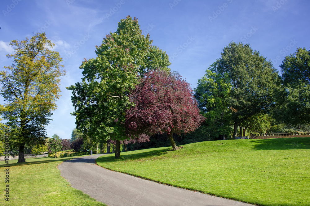 Picturesque City Park On Bright Summer Day