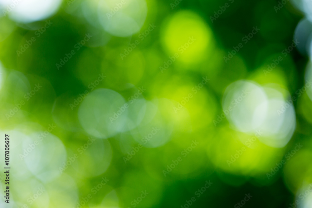 Green blurred background and sunlight Green blurred background and sunlight