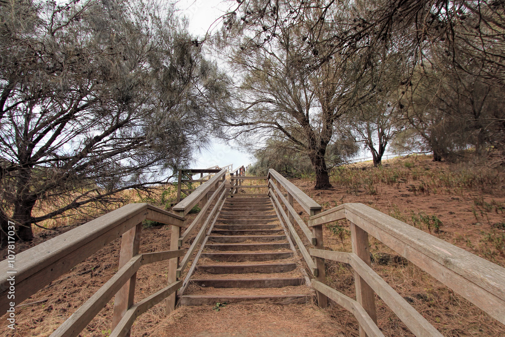 Wooden stairs in Adelaide reserve forest