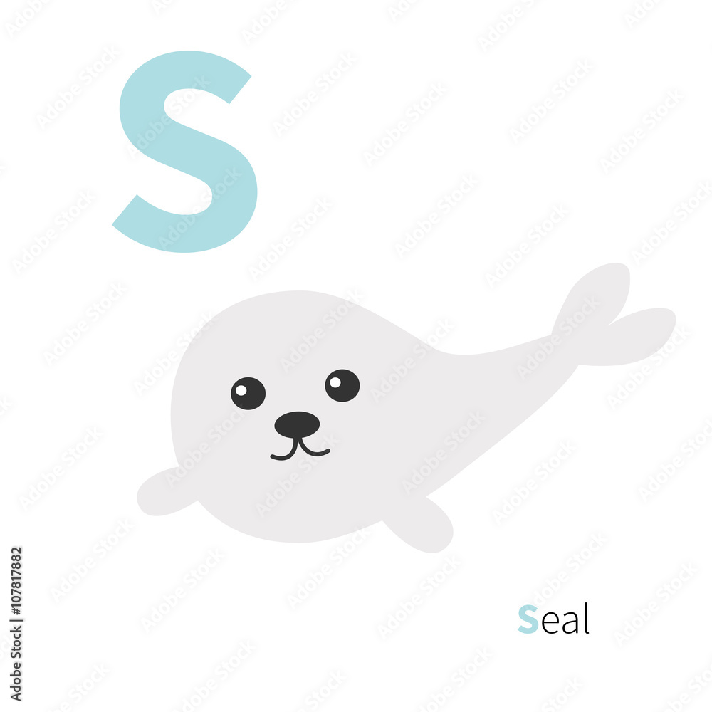 Letter S Seal Zoo alphabet. English abc with animals Education cards for kids Isolated White background Flat design Letter S Seal Zoo alphabet. English abc with animals Education cards for kids Isolated White background Flat design