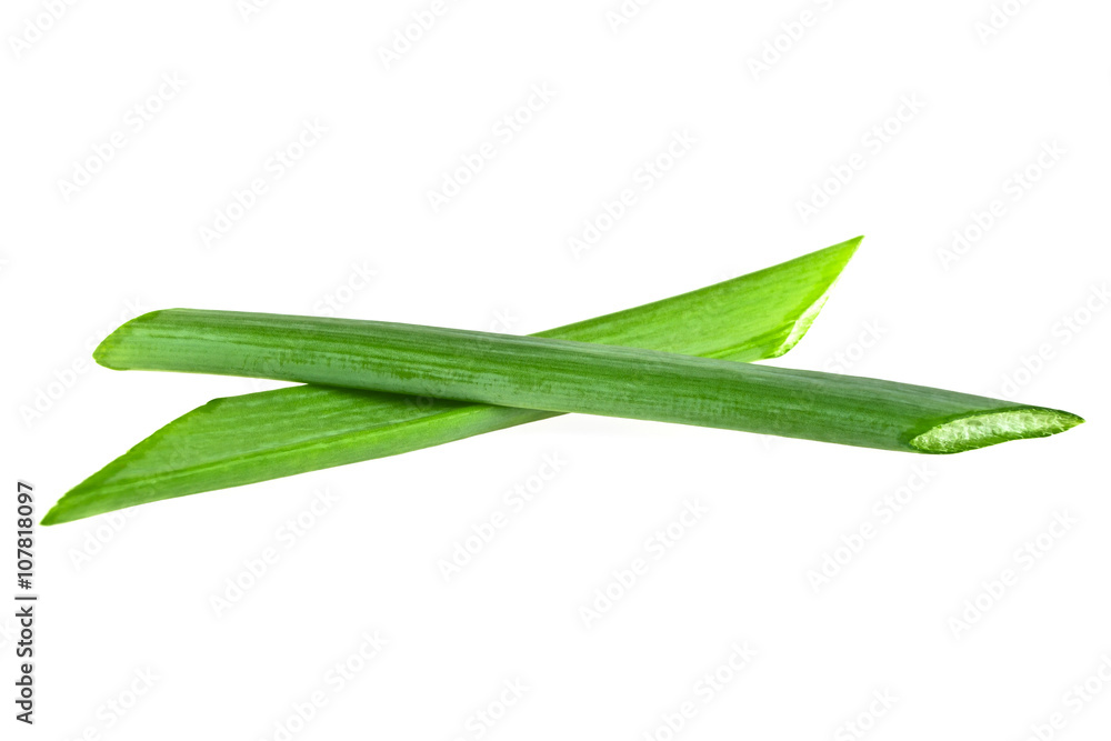 Fototapeta premium Green onion herb chopped isolated on white background