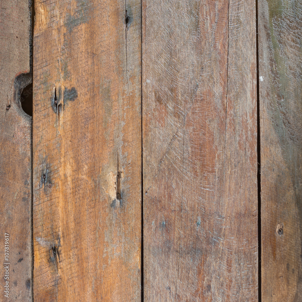 Obraz premium wood texture