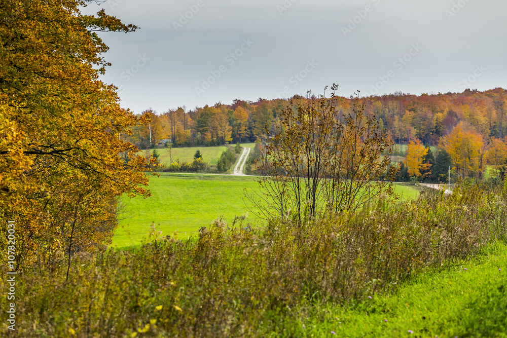 scenic view of rural countryside scenic view of rural countryside