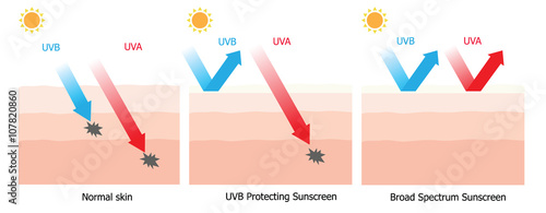 Sunscreen protecting compare between normal skin and skin with s
