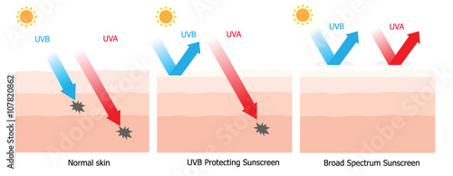 Skin compare between skin with broad-spectrum sunscreen