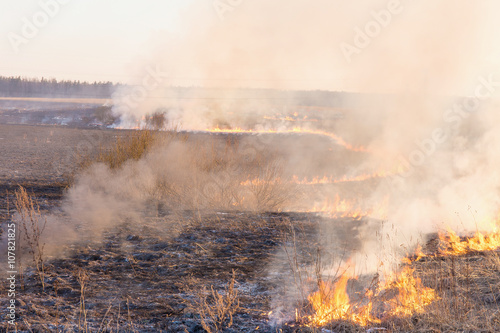 burning dry grass © sergeevspb