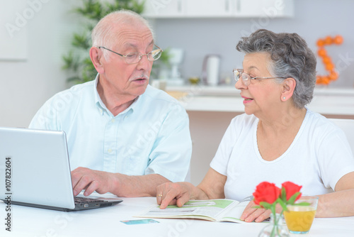 Elderly couple using computer