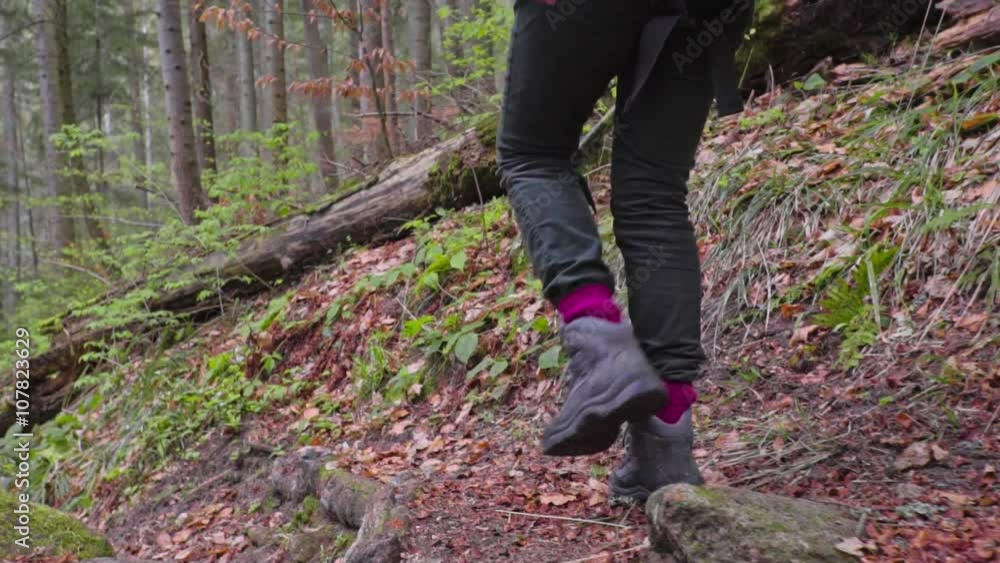 Hiker in the forest path Hiker in the forest path