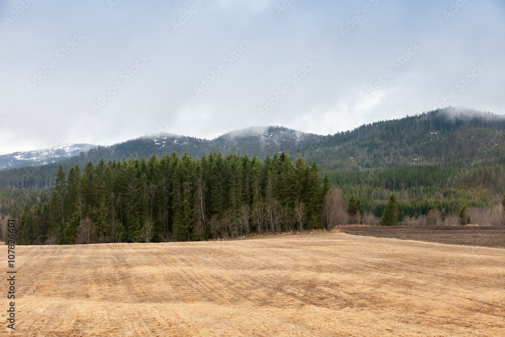 Spring rural Norwegian landscape with dry field