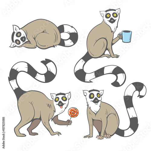 Cute cartoon ring tailed lemurs set. Funny four madagascar cats. Vector image. Children's illustration.