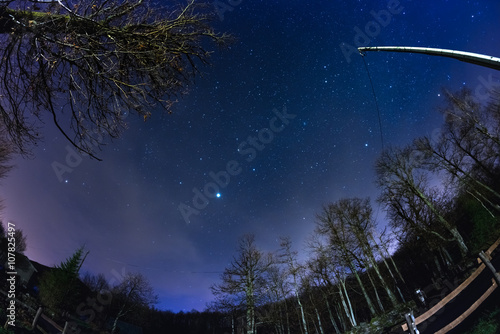Fototapeta Naklejka Na Ścianę i Meble -  Fisheye view of the starry sky with blurred motion clouds, captured from sparse beech woodland. Jupiter and Lion constellation in the center. Scenic distortion and 180° view.
