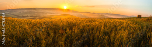 Fotografie, Tablou Tuscany wheat field panorama at sunrise