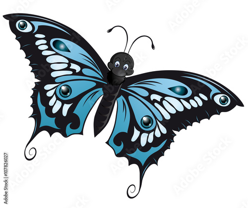 wonderful blue butterfly 