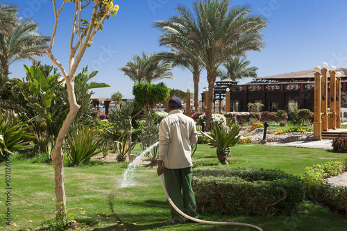 Vászonkép Gardener watering hose green lawn in the hotel .
