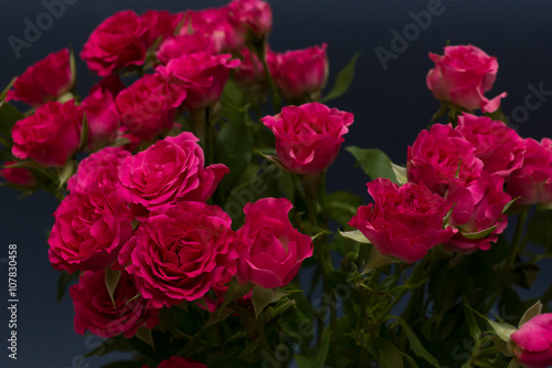 Букет роз на тёмно-синем фоне