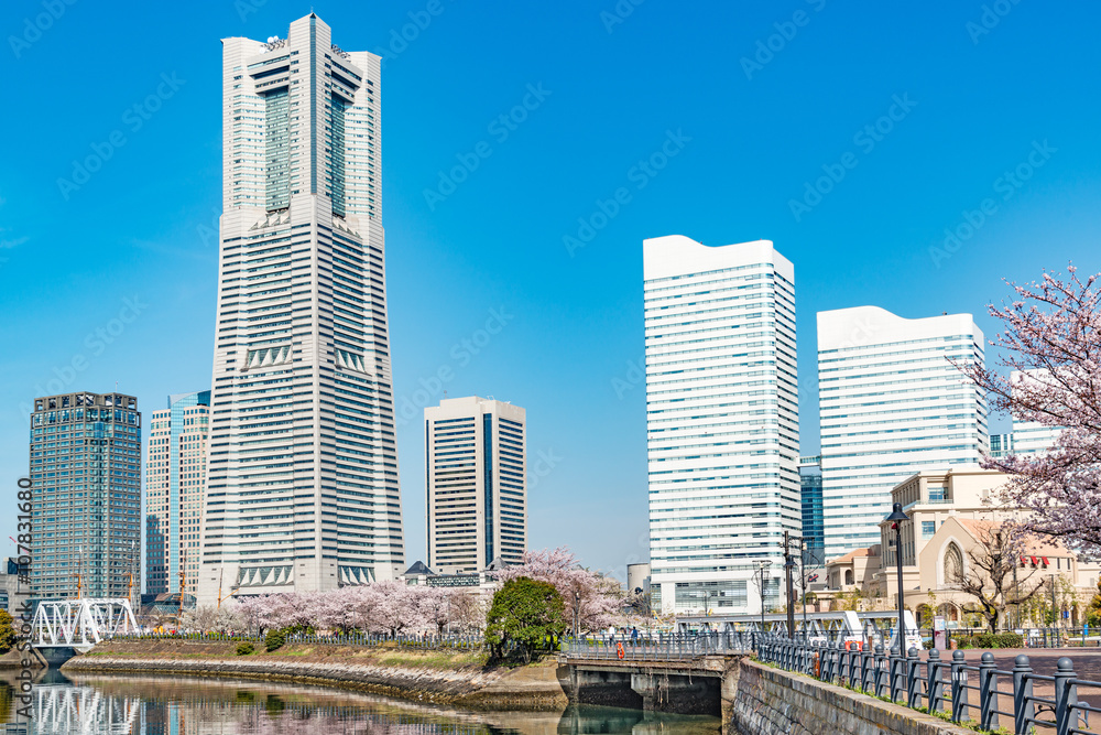 Obraz premium Wiosna w Jokohamie w Japonii przy Canal Park.