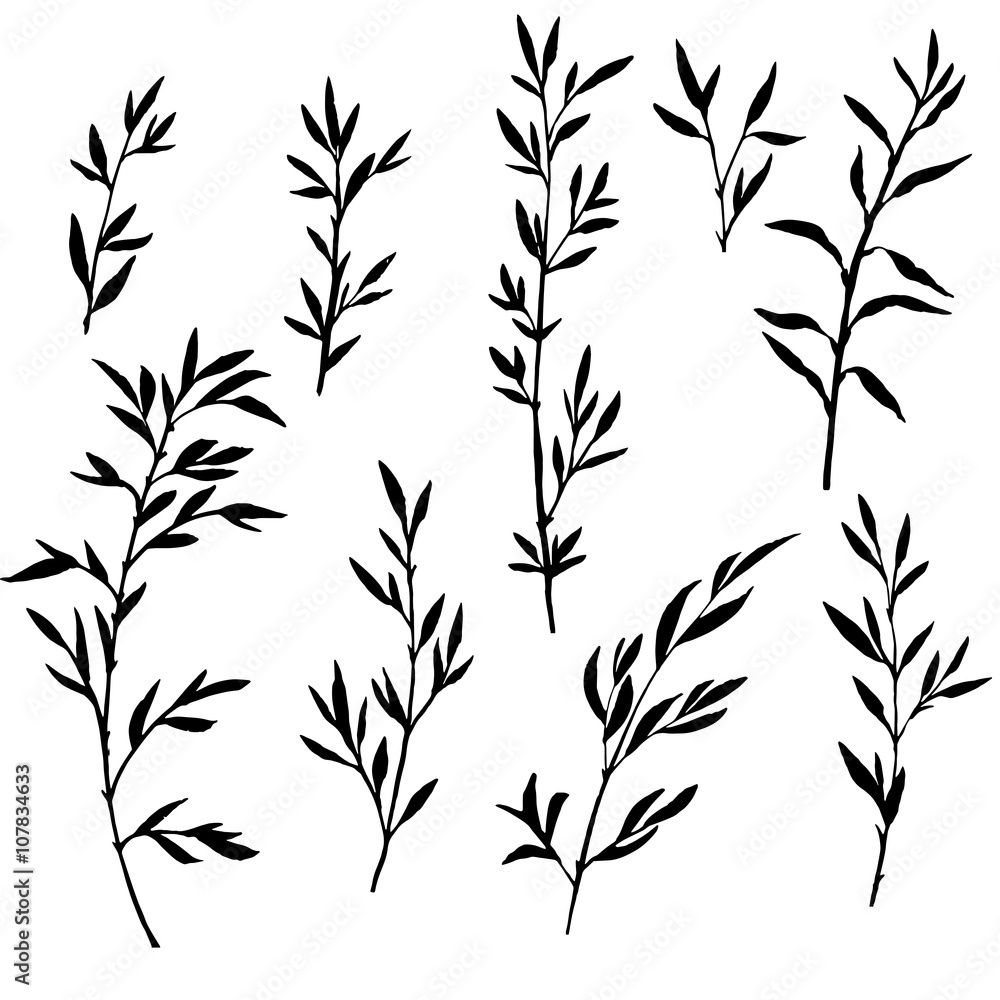 set of tree branches with leaves set of tree branches with leaves
