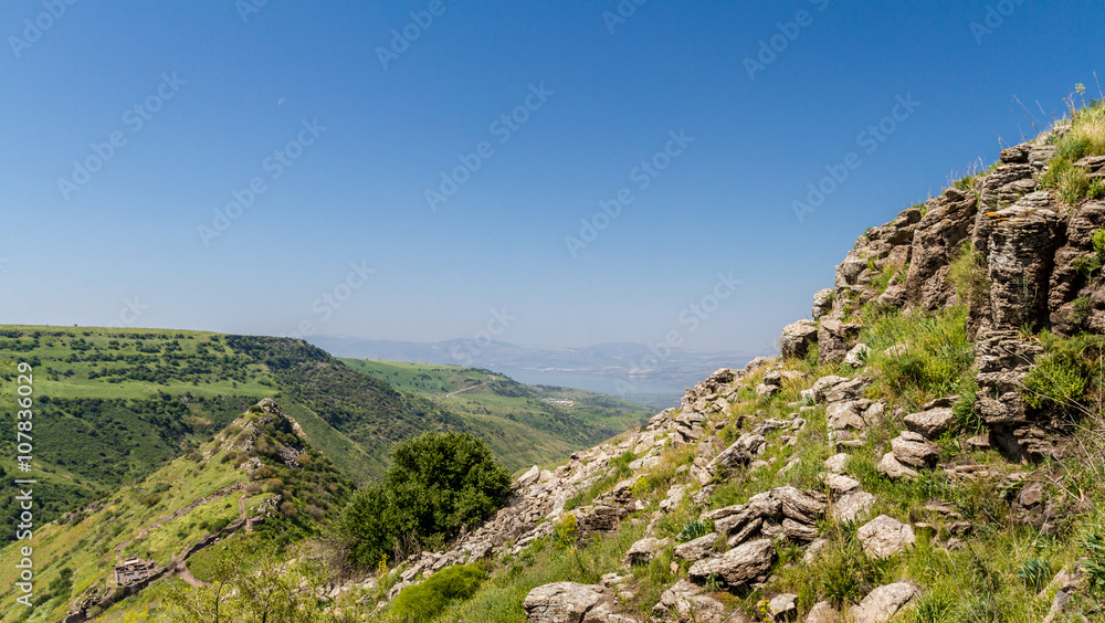 Gamla nature reserve, ancient city of Gamla, Israel