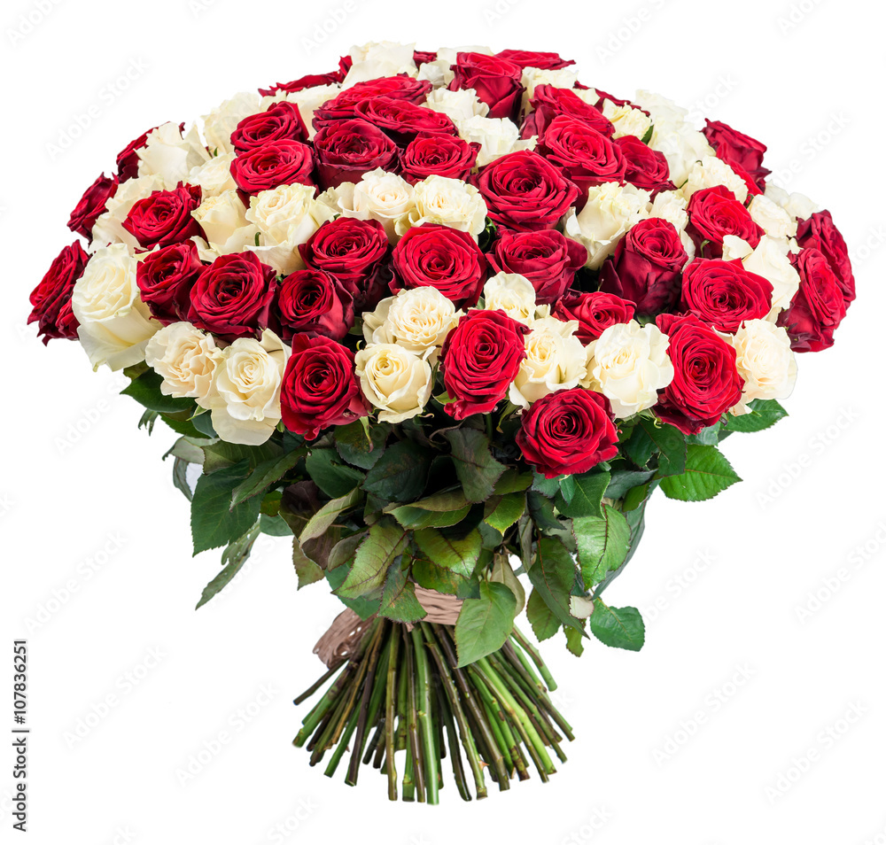Fototapeta premium 101 Czerwony biały bukiet róż na białym tle