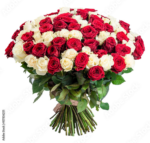 101 Red white rose bouquet isolated on white background