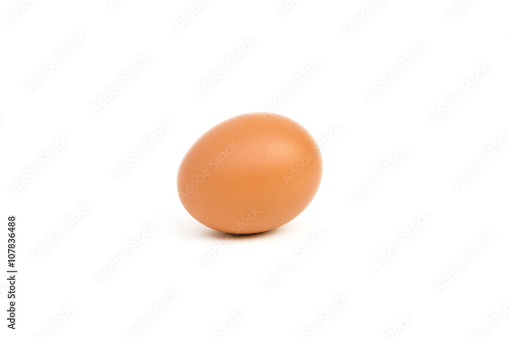 eggs of chicken on white background eggs of chicken on white background