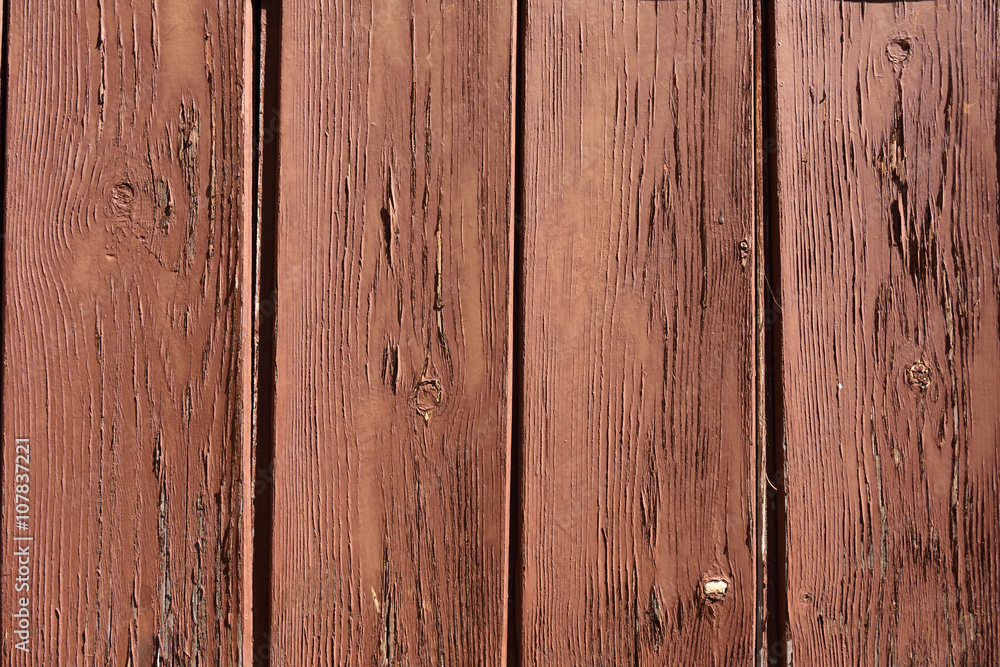 Fototapeta premium Texture of an old wood with paint
