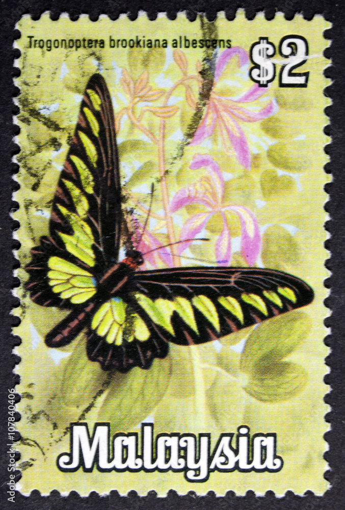 Obraz premium GROOTEBROEK ,THE NETHERLANDS - MARCH 15,2016 : A stamp printed in Malaysia shows Trogonoptera brookiana albescens (butterfly), circa 1970