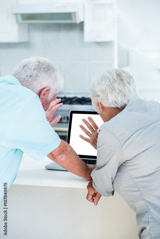 Obraz premium Rear view of retired couple using laptop 
