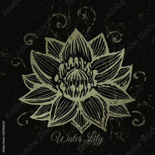Golden lotus vector background