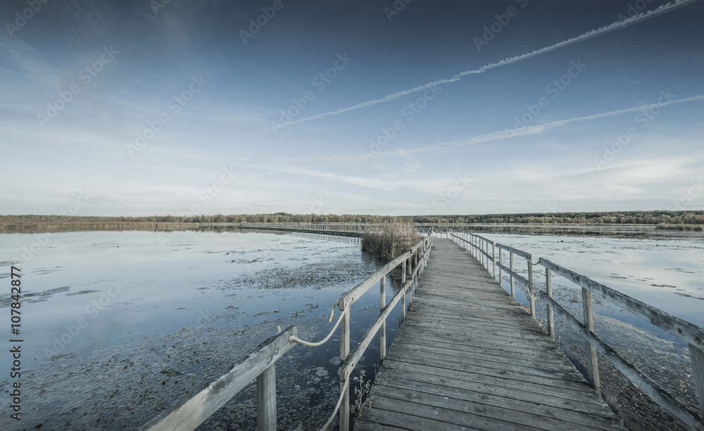 Obraz premium Autumn landscape