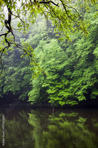 Water landscape in summer