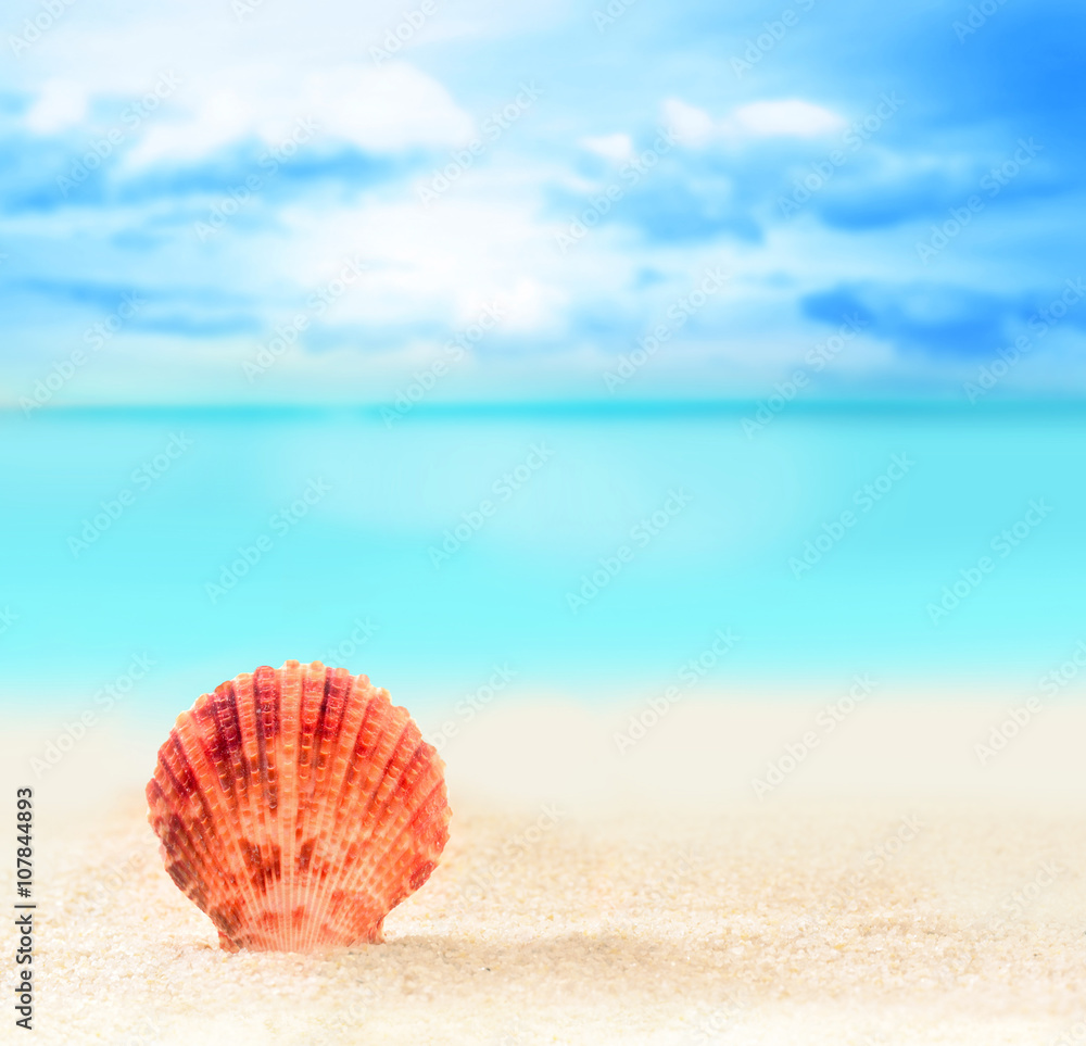 Summer beach. Seashell on the sand and ocean background. Summer beach. Seashell on the sand and ocean background.